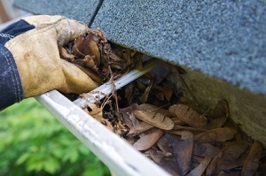 Routine gutter cleaning new jersey