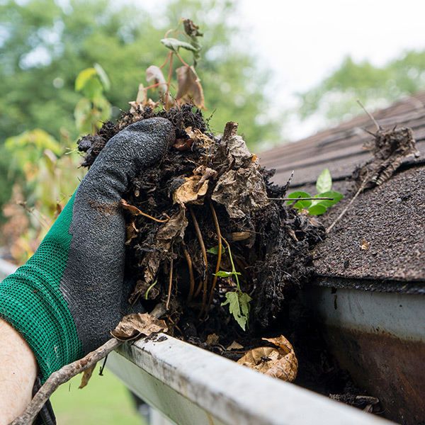 gutter-cleaning