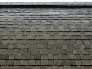 New jersey asphalt shingles cleaning