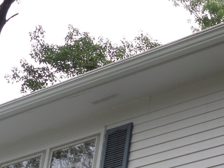 Freshly cleaned residential gutter near Short Hills Millburn