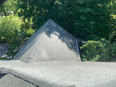 Why is roof cleaning important for protecting your homes exterior